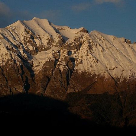 Catif Ladru Bed and Breakfast Cerveno Εξωτερικό φωτογραφία