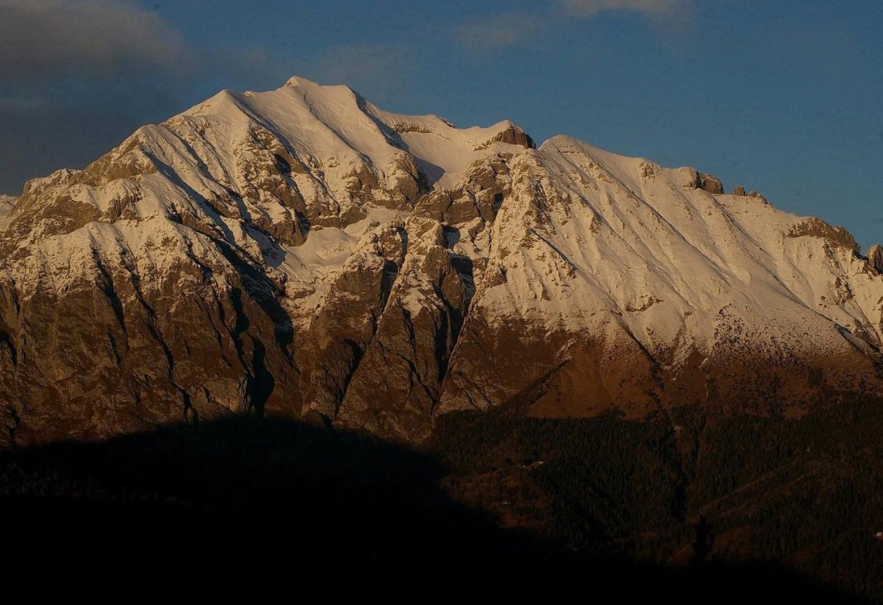 Catif Ladru Bed and Breakfast Cerveno Εξωτερικό φωτογραφία