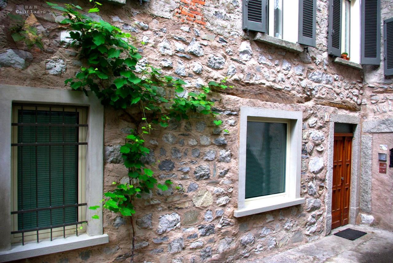 Catif Ladru Bed and Breakfast Cerveno Εξωτερικό φωτογραφία